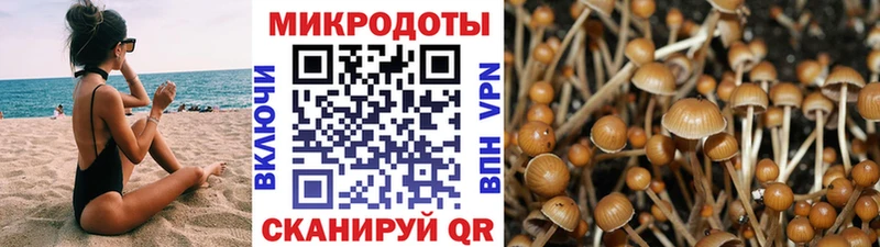 Галлюциногенные грибы Psilocybe Куса