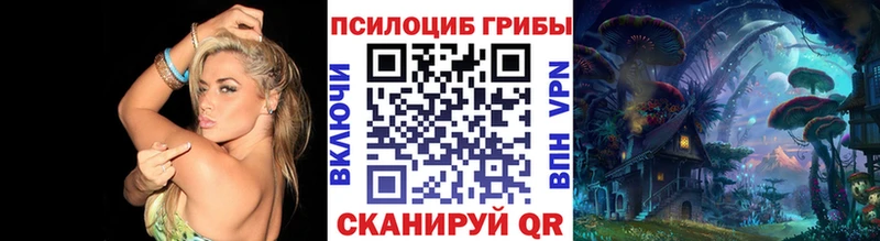 Галлюциногенные грибы мухоморы  продажа наркотиков  Куса 